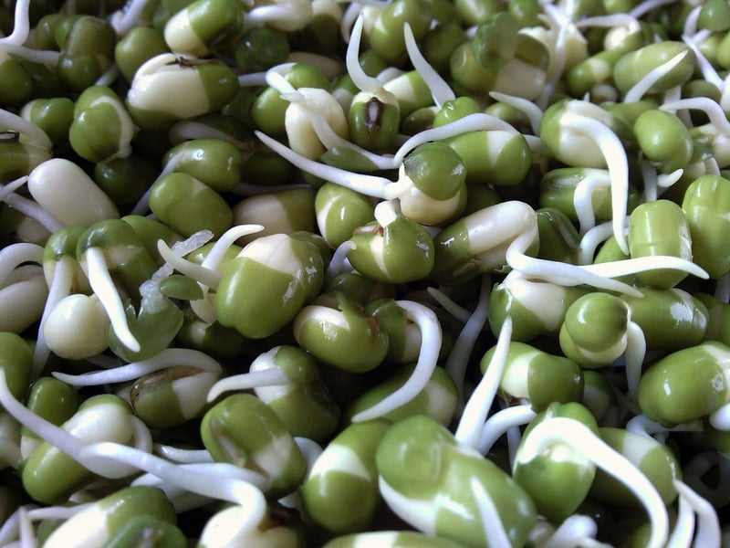 Green beans in a container