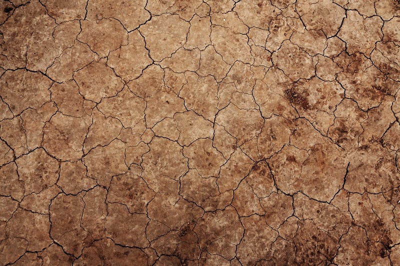 Soil Quality